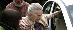 Help senior into a car